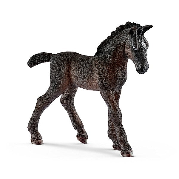 Lipizzaner Fohlen
