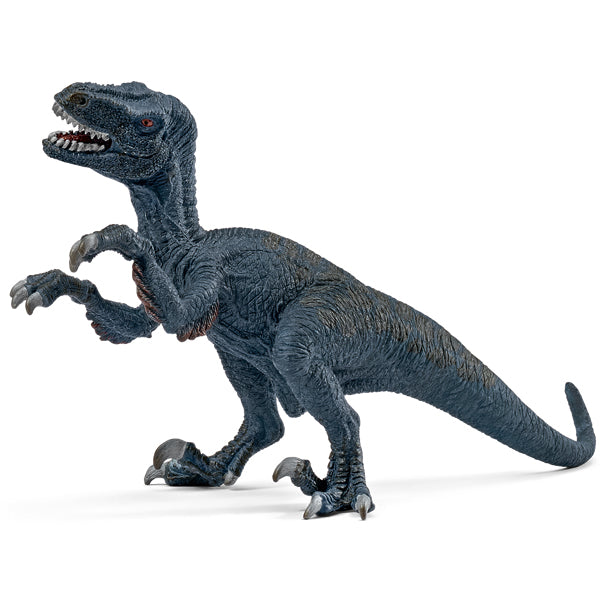 Velociraptor
