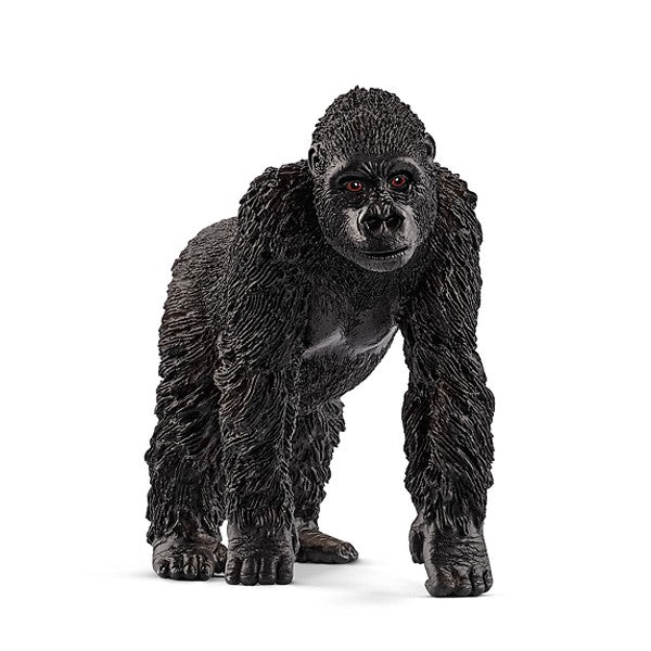 Gorilla Weibchen