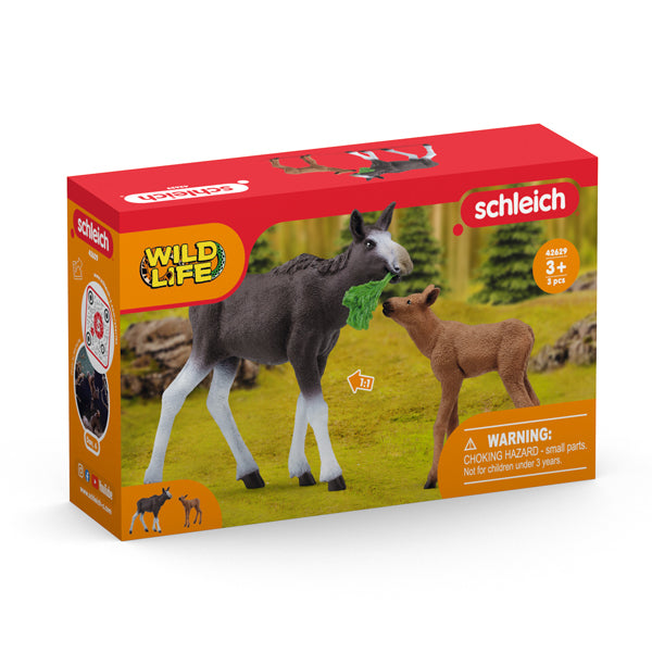 Elchkuh mit Kalb