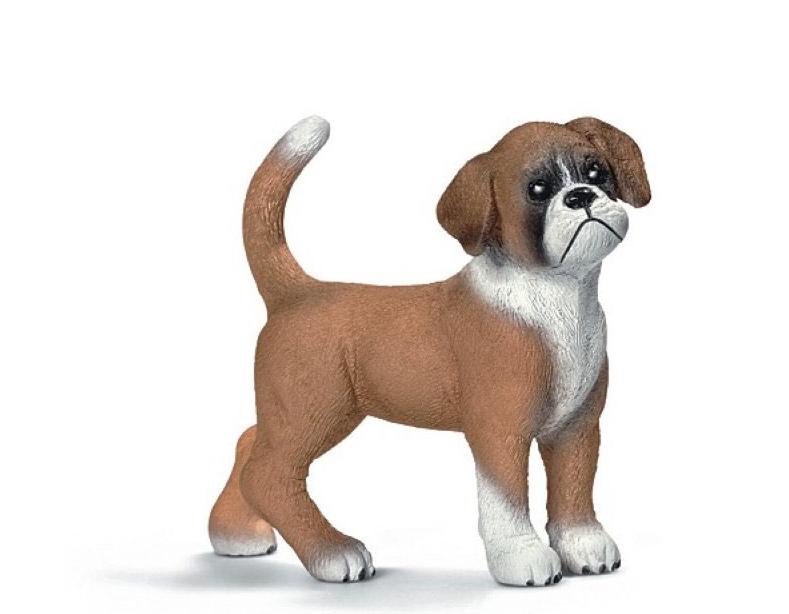 Boxer Welpe