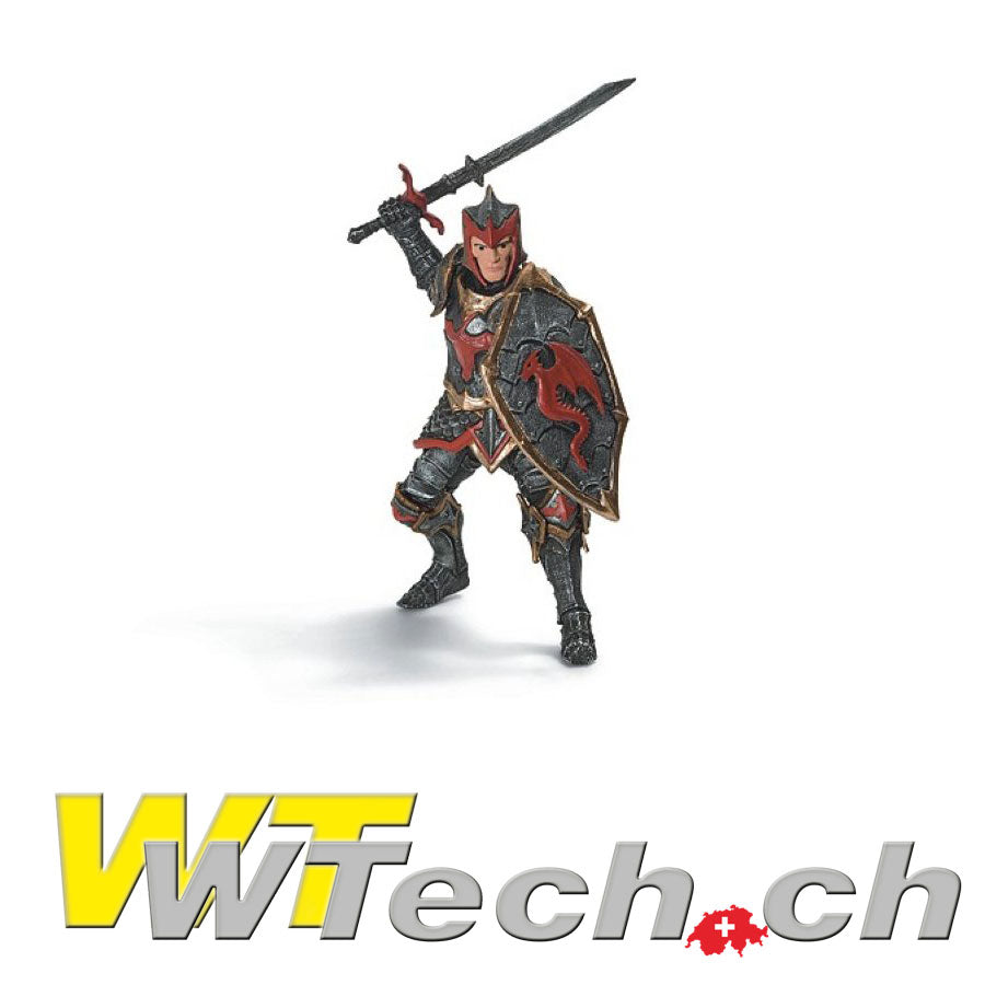 Drachenritter Schwertkämpfer