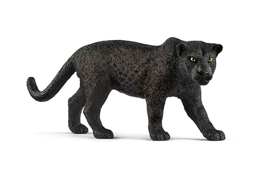 Schwarzer Panther