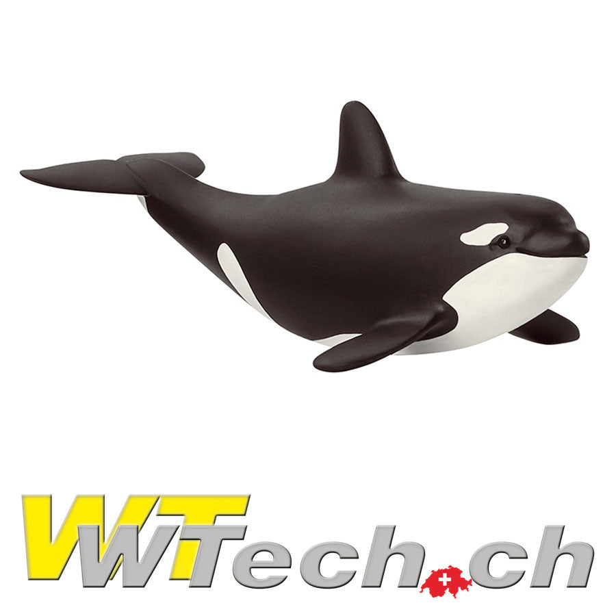 Orka Junges