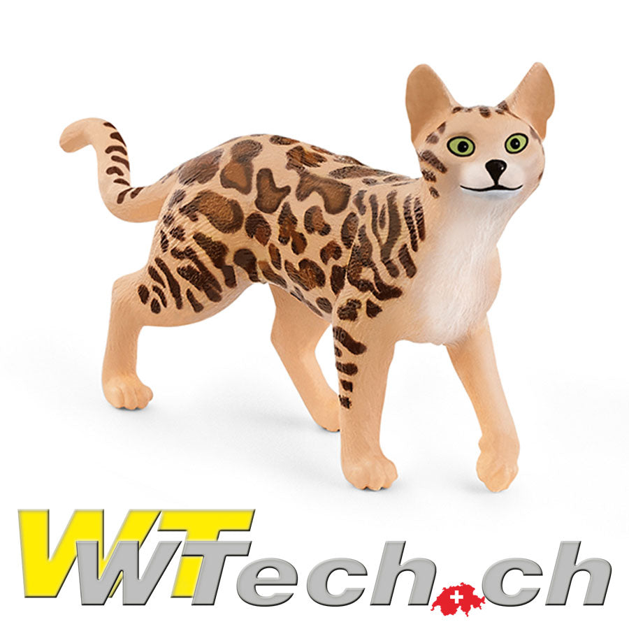 Bengal Katze