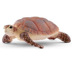 Echte Karettschildkröte