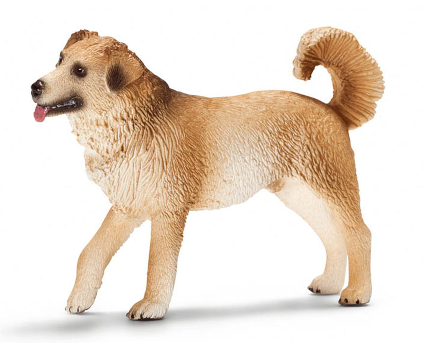 Mischlingshund