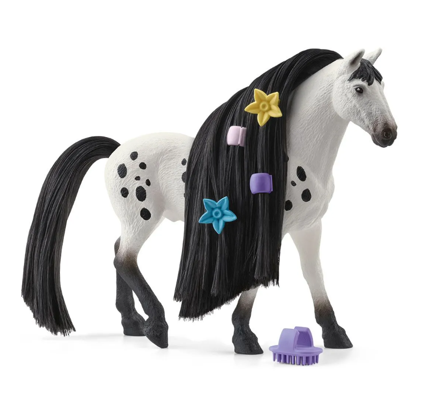 Beauty Horse Knabstrupper Hengst Sofia's Beauties
