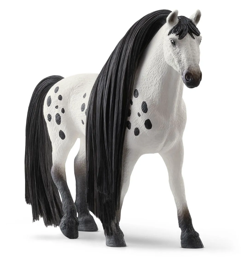 Beauty Horse Knabstrupper Hengst Sofia's Beauties