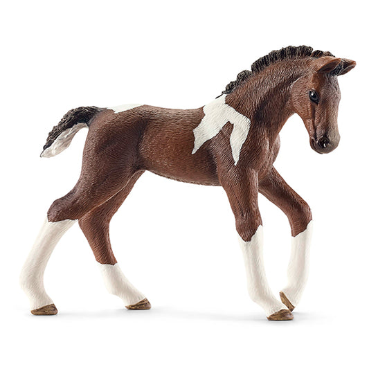 Trakehner Fohlen