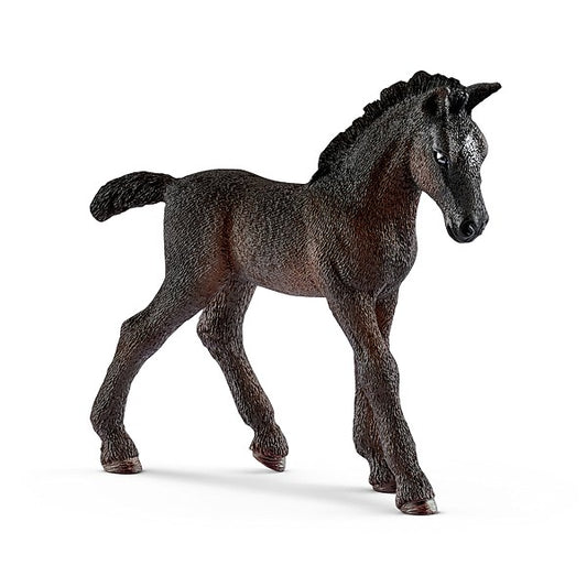Lipizzaner Fohlen