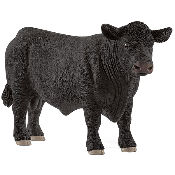 Black Angus Bulle