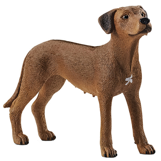 Rhodesian Ridgeback