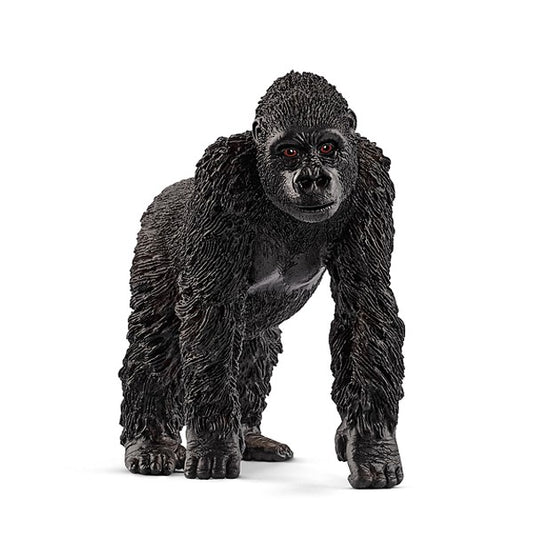 Gorilla Weibchen