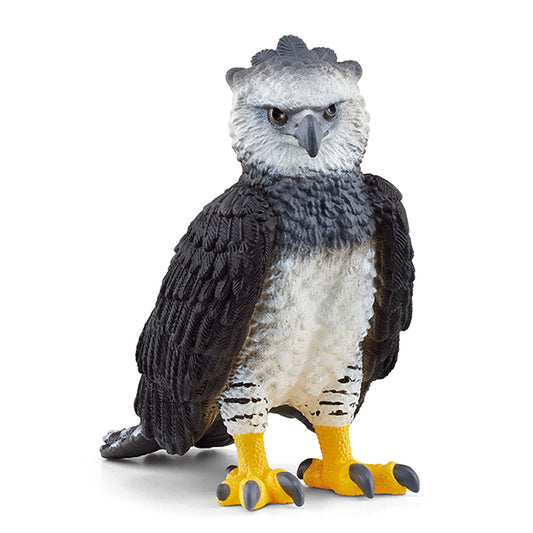 Harpyie Greifvogel