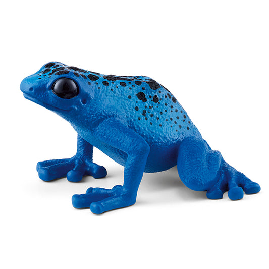 Pfeilgiftfrosch blau