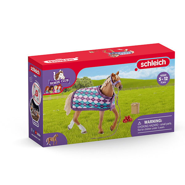 Englisches Vollblut m. Decke