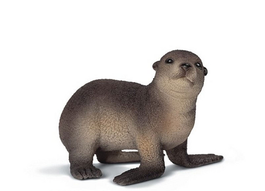 Seelöwenjunges