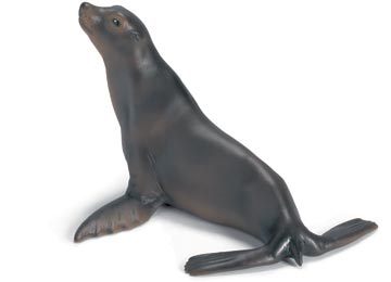 Seelöwe
