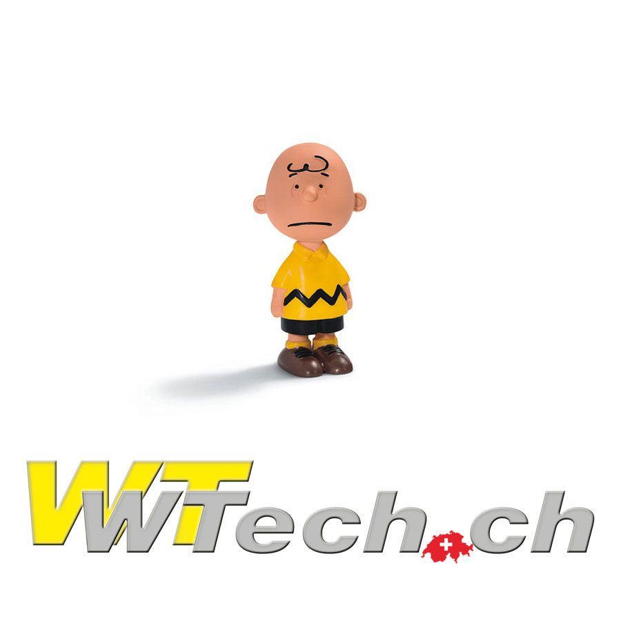 Peanuts Charlie Brown