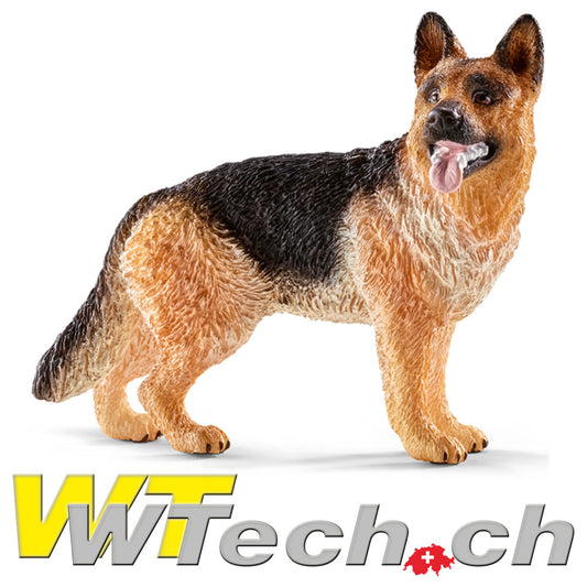 Schäferhund