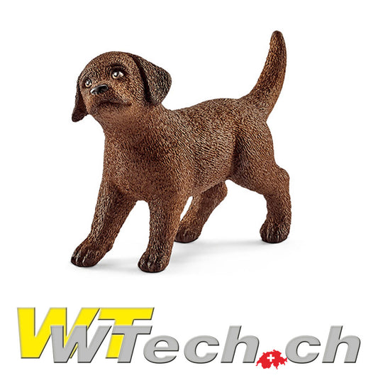 Labrador Retriever Welpe