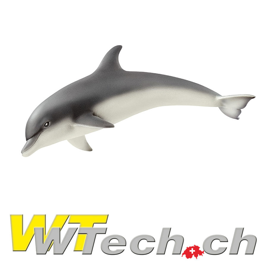 Delfin