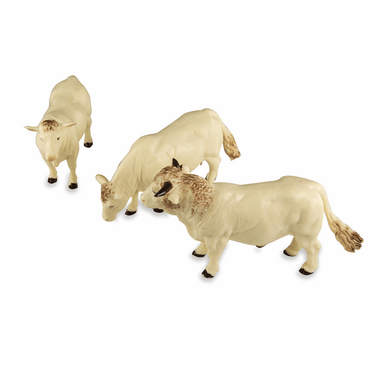 Charolais Rinder 3 Stück