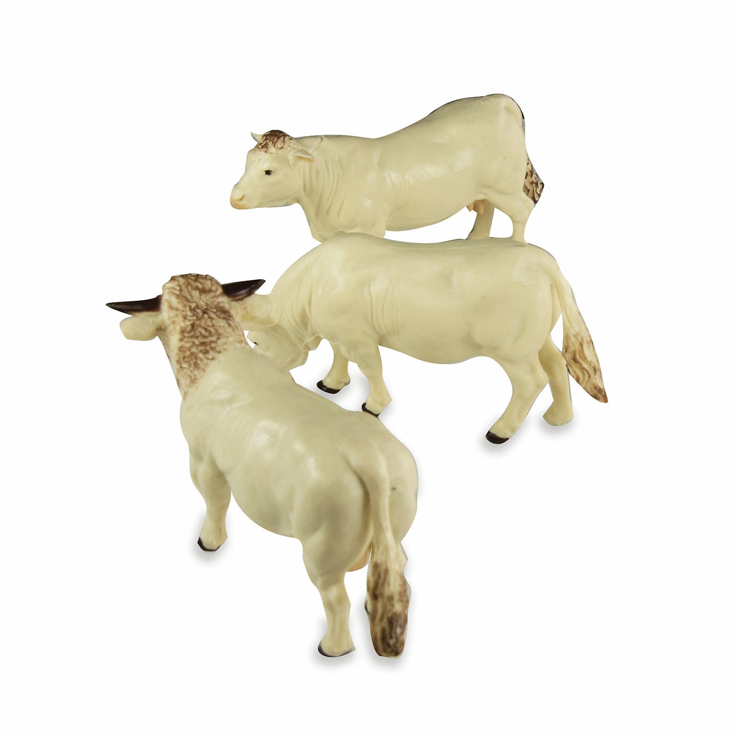 Charolais Rinder 3 Stück