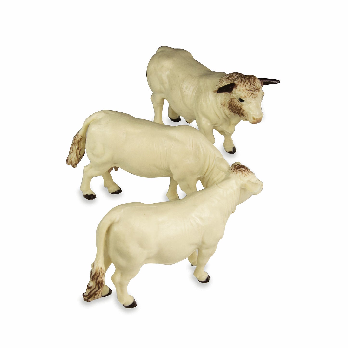 Charolais Rinder 3 Stück