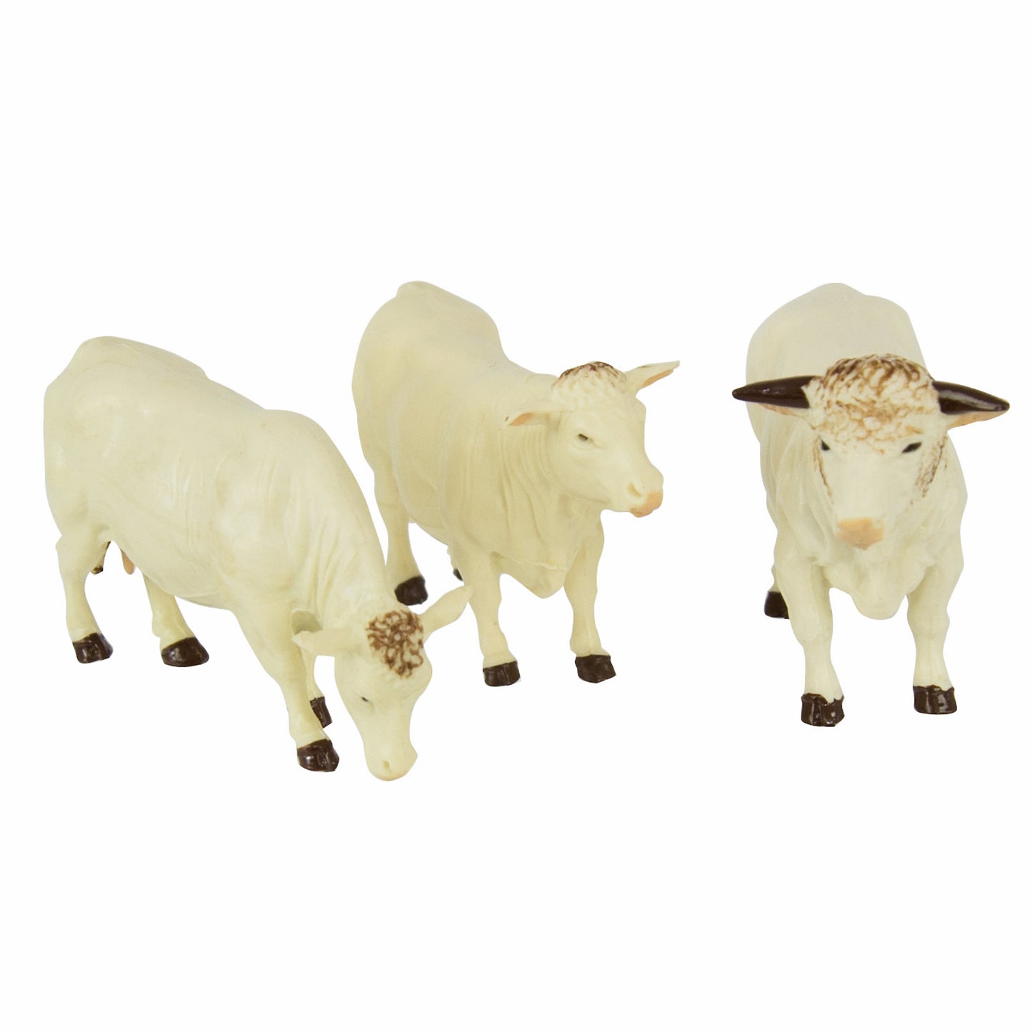 Charolais Rinder 3 Stück