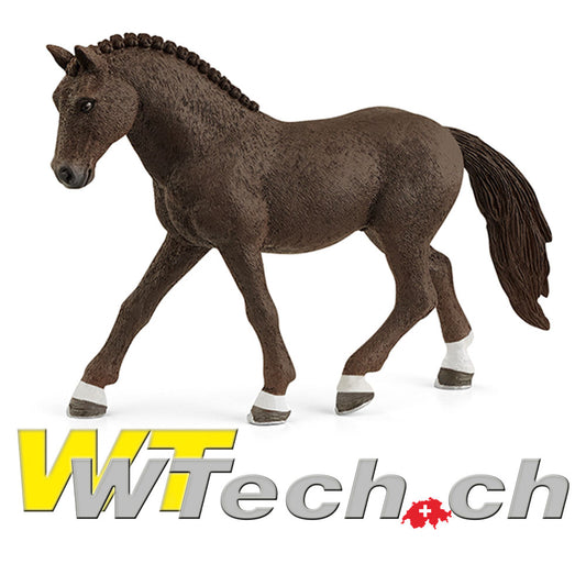 Deutsches Reitpony Wallach