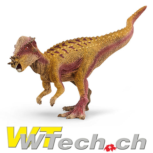 Pachycephalosaurus