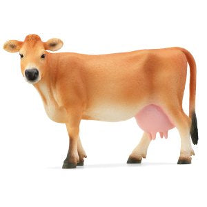 Jersey Kuh