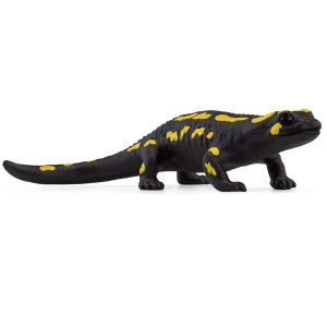 Feuersalamander