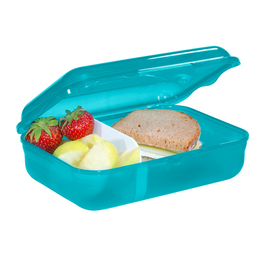 Rotho Lunchbox Dog Basty" Türkis"