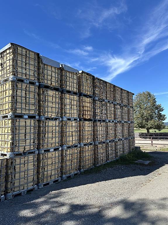 Brennholz Cheminee Holz Buche Esche trocken 30cm Länge