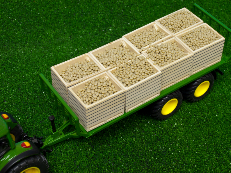Holz Kartoffelkiste