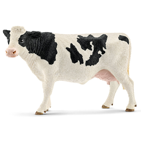 Holstein-Kuh schwarz bunt