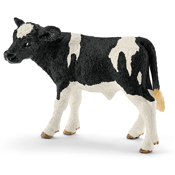 Holstein-Kalb schwarz bunt