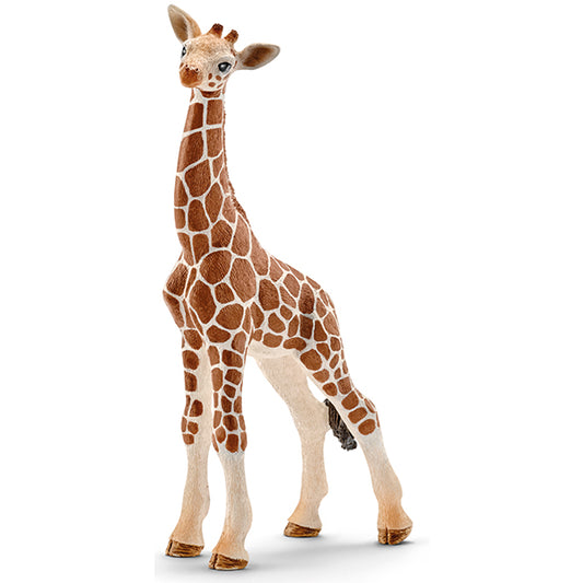 Giraffenbaby