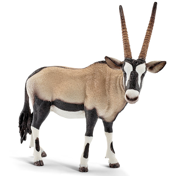 Oryxantilope