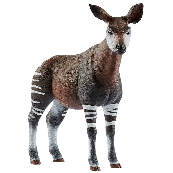 Okapi