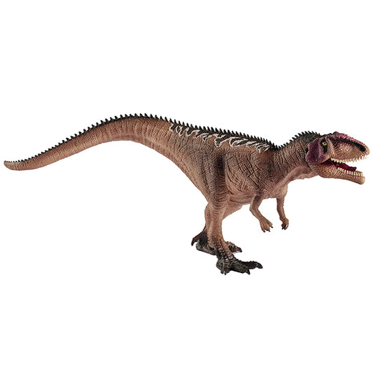 Giganotosaurus Junior Mit beweglichem Unterkiefer