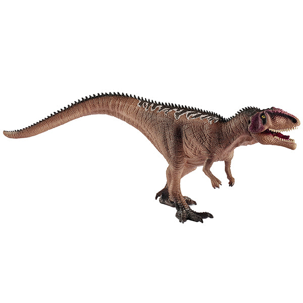 Giganotosaurus Junior Mit beweglichem Unterkiefer