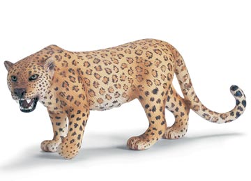 Leopard