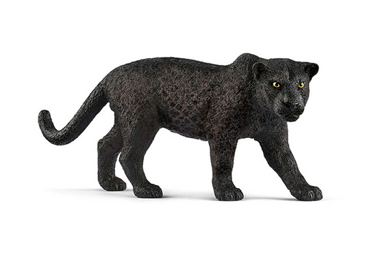 Schwarzer Panther