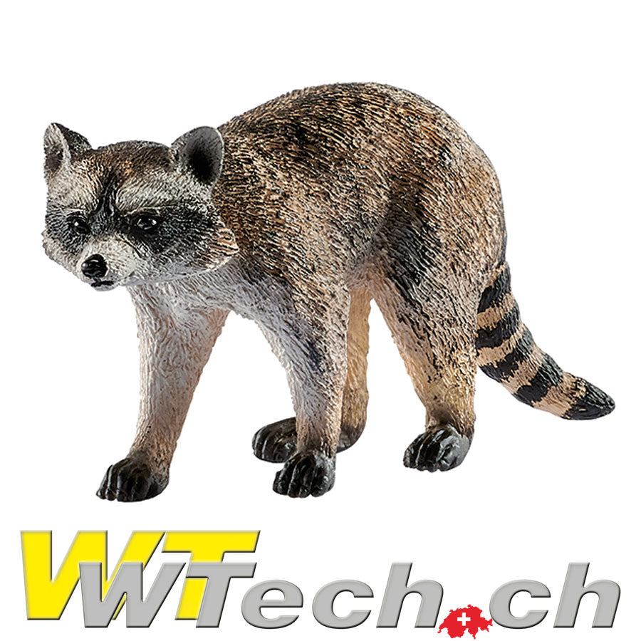 Waschbär