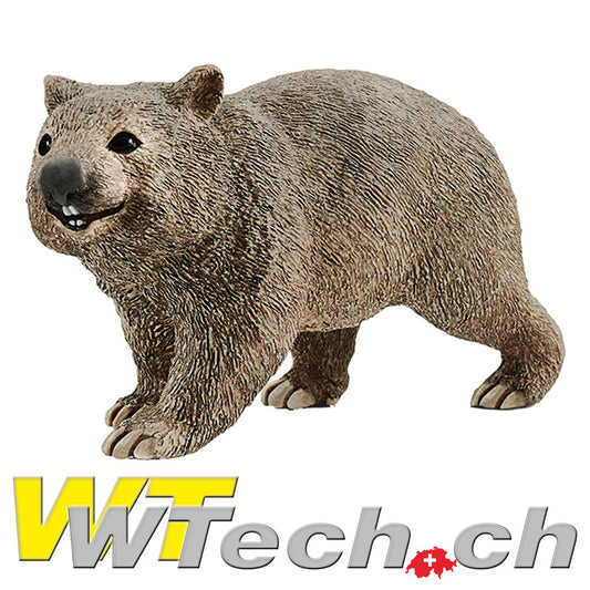 Wombat