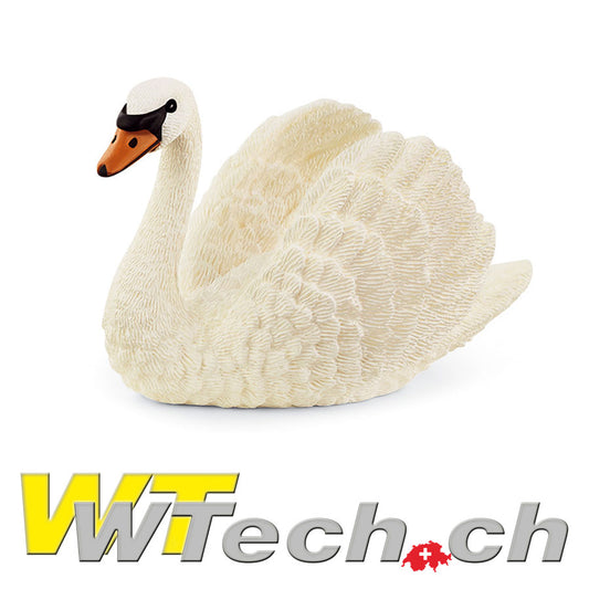 Schwan